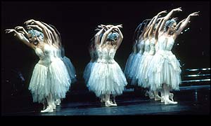 Swan Lake, photograph by Bill Cooper