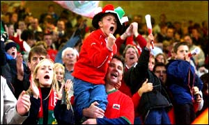 Wales football supporters