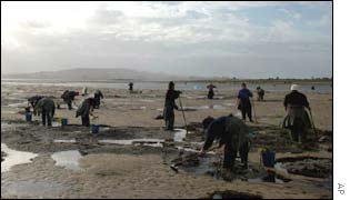 Fishermen continue to dig for cockles and clams on a Spanish beach