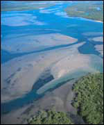 Coastal development has taken a huge toll