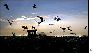 Tractor on landfill AP