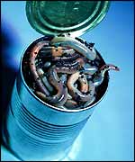 Worms in can 1998 EyeWire, Inc