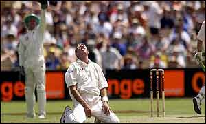 Andy Caddick (foreground) and Alec Stewart (background) have struggled on the Ashes tour