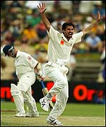 Jason Gillespie appeals for lbw