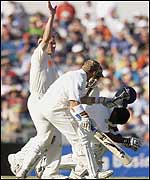 Brett Lee calls for help