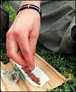 Person rolling cannabis joint