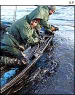 Fishermen scooping up oil from their boat of the Spanish coast