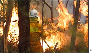 Fireman battle blaze again at Glenorie suburb 