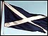 Scottish flag (PA)