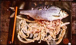 Tapeworm in carp