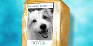 Pet memorial