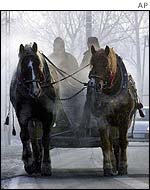 Polish farmers on a main road