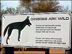 'Dingoes are wild' warning sign at Ayers Rock