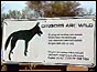 'Dingoes are wild' warning sign at Ayers Rock