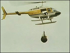 Hercules the bear is airlifted to safety