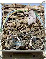 Afghan man perches on truck carrying firewood