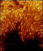 Up close with a Sunspot