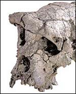 Our oldest known Ancestor? Nature