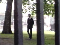 Photograph of a police officer patrolling the grounds of Buckingham Palace