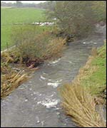 The river at the farm
