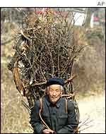 Chinese farmer