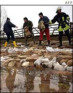 Emergency workers sandbagging a river dyke in Germany