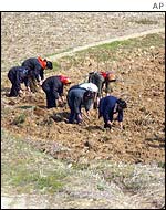 Women working the land in North Korea