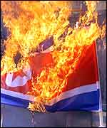 South Korean veterans burn a North Korean flag during a pro-US rally in South Korea (AFP)
