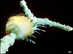 Space shuttle Challenger exploding