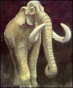 West Runton elephant