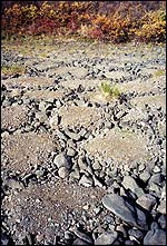 Arctic polygons, Science/M. A. Kessler