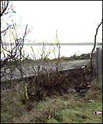 Accident scene: Car crashed through barrier 