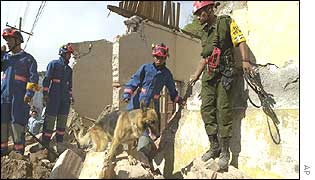 Emergency teams with sniffer dogs