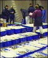 Fish market