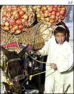 Boy, donkey cart with pomegranates AP