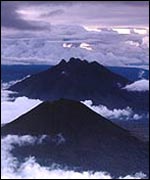 Virunga national park 