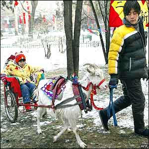 A young girl enjoys a ride pulled by a goat at the Ditan (Temple of Earth) Park temple fair in Beijing