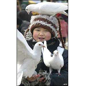Doves feed from a young girl at a temple fair in Beijing