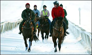Horses on the Newmarket gallops