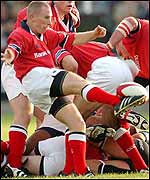 Ireland scrum-half Peter Stringer