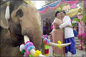 A Thai couple kiss each other near an elephant during a mass wedding ceremony.