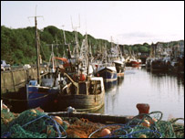 Fishing boats in Eyemouth
