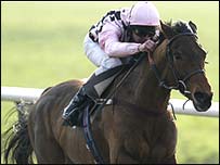 Marble Arch was second in the Champion Hurdle last year