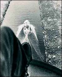 Ci�naga de Zapata, Matanzas, Cuba, 1959 (Courtesy of The Museum f�r Kunst und Gewerbe)