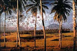 South East Asia 1959 (photo: courtesy of (Courtesy of The Museum f�r Kunst und Gewerbe)