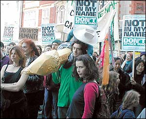Protests in Cambridge