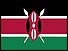 Kenyan flag