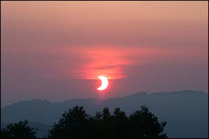 Pic: Thomas Reisinger