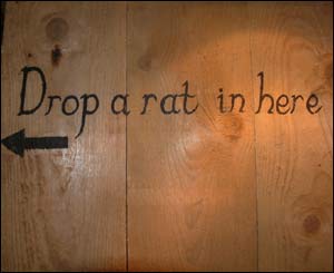 Rat sign