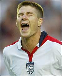 Steven Gerrard celebrates his goal against Serbia & Montenegro